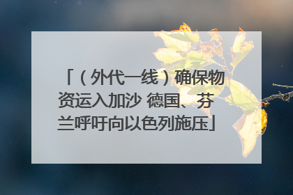 （外代一线）确保物资运入加沙 德国、芬兰呼吁向以色列施压