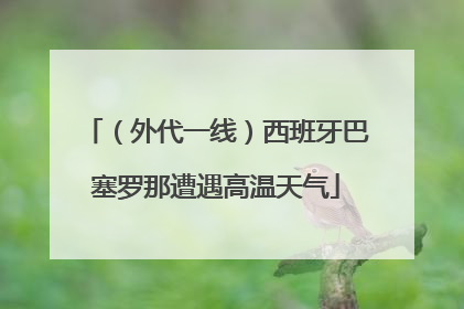 （外代一线）西班牙巴塞罗那遭遇高温天气