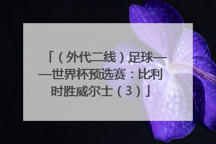 （外代二线）足球——世界杯预选赛：比利时胜威尔士（3）