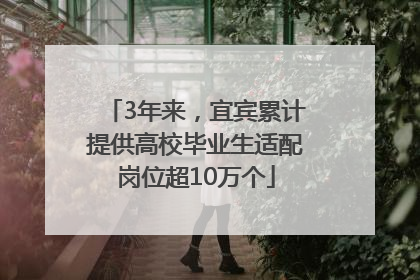 3年来，宜宾累计提供高校毕业生适配岗位超10万个