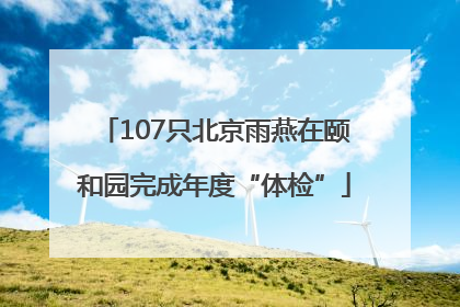 107只北京雨燕在颐和园完成年度“体检”