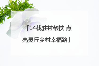 14载驻村帮扶 点亮灵丘乡村幸福路
