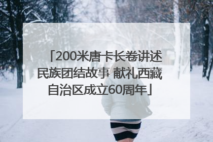 200米唐卡长卷讲述民族团结故事 献礼西藏自治区成立60周年