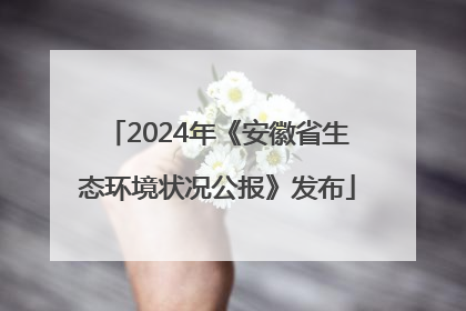 2024年《安徽省生态环境状况公报》发布