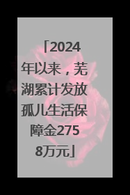 2024年以来，芜湖累计发放孤儿生活保障金2758万元