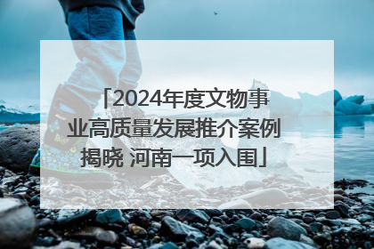 2024年度文物事业高质量发展推介案例揭晓 河南一项入围