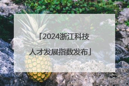 2024浙江科技人才发展指数发布