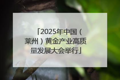 2025年中国（莱州）黄金产业高质量发展大会举行