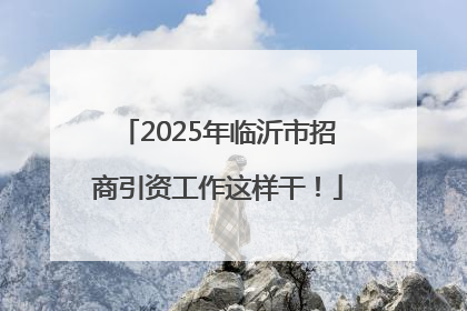 2025年临沂市招商引资工作这样干！