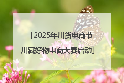 2025年川货电商节川藏好物电商大赛启动