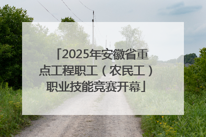 2025年安徽省重点工程职工（农民工）职业技能竞赛开幕