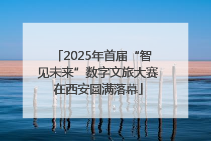 2025年首届“智见未来”数字文旅大赛在西安圆满落幕