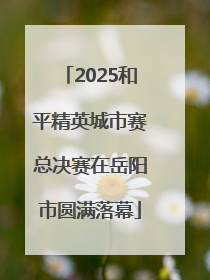 2025和平精英城市赛总决赛在岳阳市圆满落幕