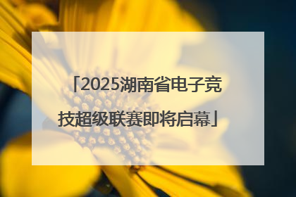 2025湖南省电子竞技超级联赛即将启幕