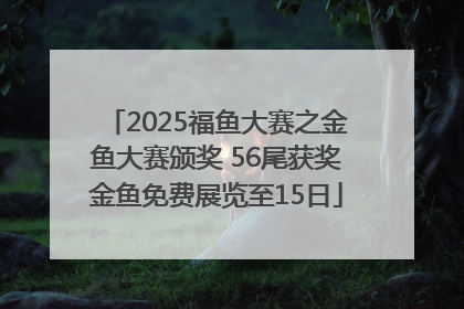 2025福鱼大赛之金鱼大赛颁奖 56尾获奖金鱼免费展览至15日