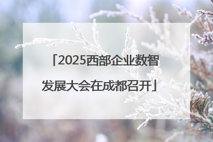 2025西部企业数智发展大会在成都召开