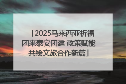 2025马来西亚祈福团来泰安团建 政策赋能共绘文旅合作新篇