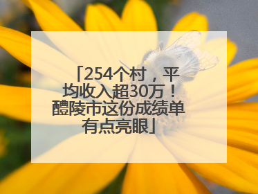 254个村，平均收入超30万！醴陵市这份成绩单有点亮眼