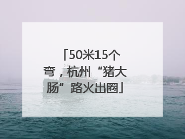 50米15个弯，杭州“猪大肠”路火出圈