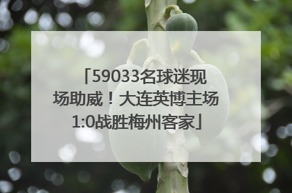 59033名球迷现场助威！大连英博主场1:0战胜梅州客家