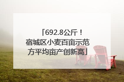 692.8公斤！宿城区小麦百亩示范方平均亩产创新高