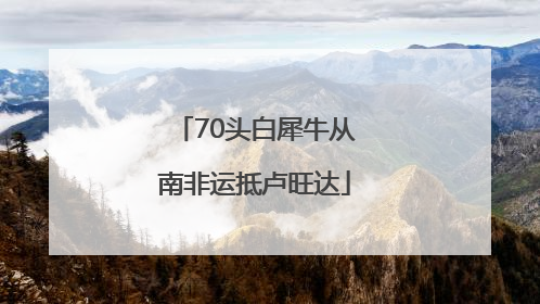 70头白犀牛从南非运抵卢旺达
