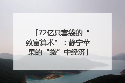 72亿只套袋的“致富算术”：静宁苹果的“袋”中经济