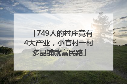 749人的村庄竟有4大产业，小官村一村多品铺就富民路