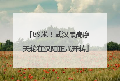 89米！武汉最高摩天轮在汉阳正式开转