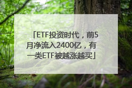 ETF投资时代，前5月净流入2400亿，有一类ETF被越涨越买